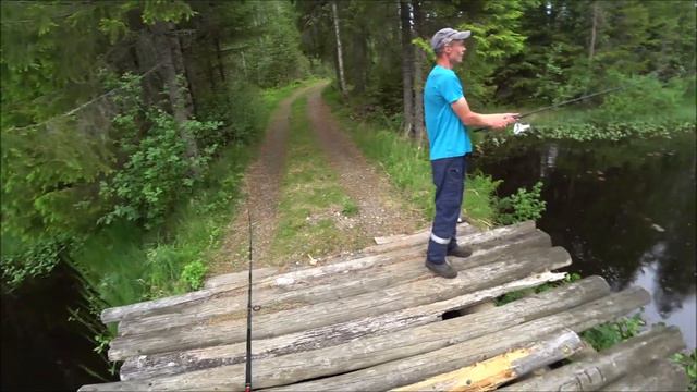 Рыбалка. Рыба в лесной речке. На работе. влог. смотреть онлайн