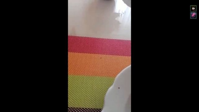 lovely❤ смотреть онлайн