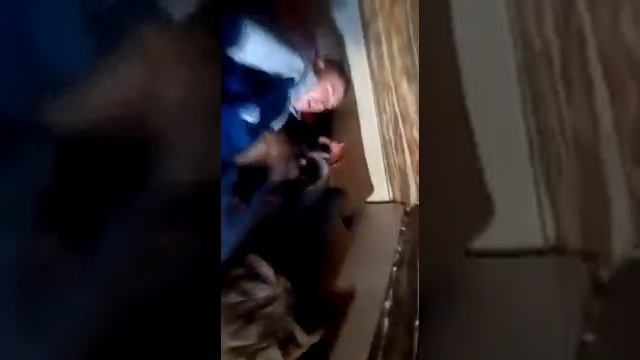 СПАСЛИ ЕНОТА!!! смотреть онлайн