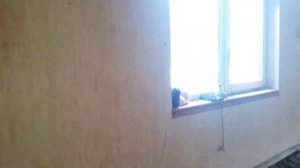 Какой пол лучше сделать в частном доме? Бетонный или деревянный?