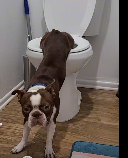 С ОБЛЕГЧЕНИЕМ ГРАФ !!! смотреть онлайн