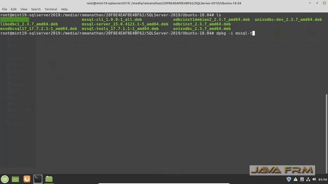 How to install SQL Server 2019 on Linux Mint 19 and connect from SQL Server Management studio смотреть онлайн
