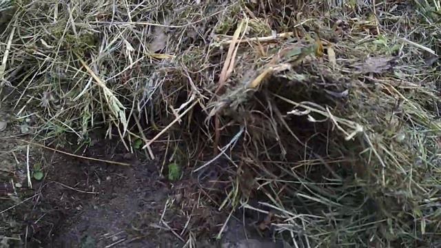 ГЛАВНОЕ ПРАВИЛО Успешного Мульчирования! Без Него Все Остальные Работать Не Будут