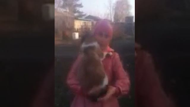кискин танец смотреть онлайн