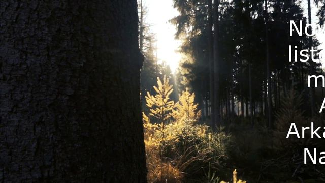 Сольный мини-концерт "Шуман и Наседкин". Солист Антон Хазипов - фортепиано. смотреть онлайн
