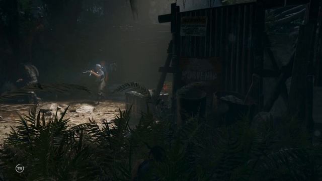 Shadow Of The Tomb Raider Definitive Edition