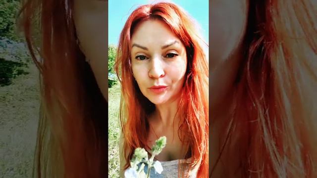 Собираем дальше...😘🍀🌿 смотреть онлайн