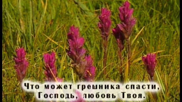 #КакдивнаблагодатьТвоя Христиансеие песни. смотреть онлайн