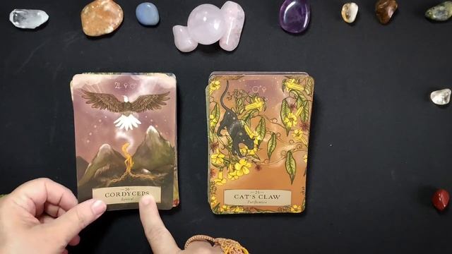 CONHEÇA AGORA O HERBAL ASTROLOGY ORACLE - #oraculo #tarot #cartasdetarot смотреть онлайн