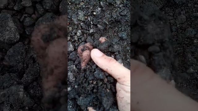 Крошка Асфальтная ? 37-46-43 смотреть онлайн
