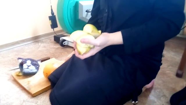 Надоедливый апильсин смотреть онлайн