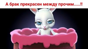 А брак прекрасен между прочим.....!! Юмор и шутки от Зайки Zoobe.