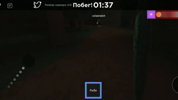 bakon Бакон не говорит бекон а нужно его называть баконом | 1 часть | Bakon