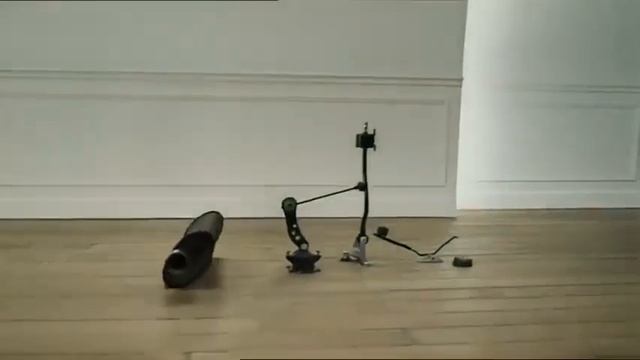 Реклама Honda Accord, которая попала книгу Рекордов Гиннеса