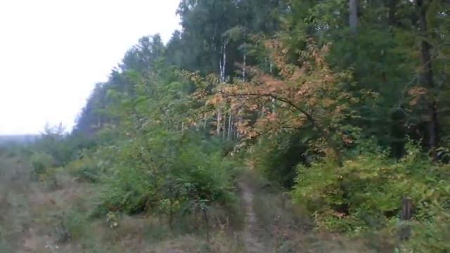 пасмурное утро смотреть онлайн