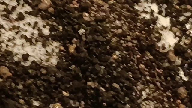 переработка импорта муфильной печкой обжёг чипов смотреть онлайн