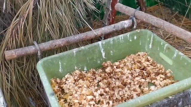 Различные корма и мешанки для дикой птицы в вольере. Дроздам, иволге, жаворонкам, овсянкам, щеглам смотреть онлайн