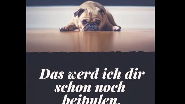 Typisch Schleswig-Holstein: Diese Sätze kennt hier jeder смотреть онлайн