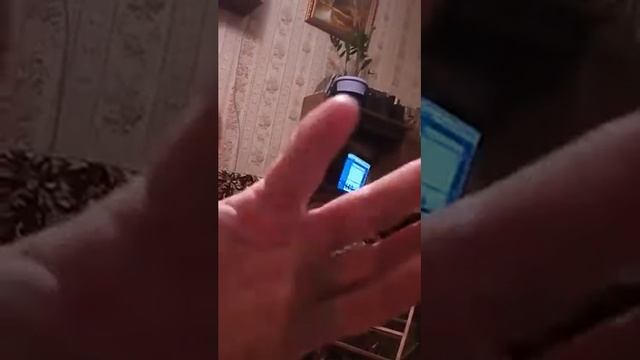 Детеныш летучей мыши в домашних условиях крутой малыш очень красивы!!! смотреть онлайн