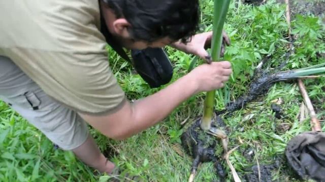Гайдары Пионерский пруд смотреть онлайн