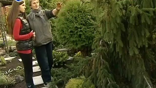 наша дача 21 09 4й канал смотреть онлайн