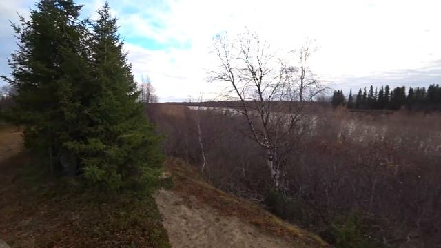ОХОТА НА КУРОПАТОК В НЕНЕЦКОЙ ТУНДРЕ / ОХОТА НА КРАЮ ЗЕМЛИ / Grouse Hunting смотреть онлайн