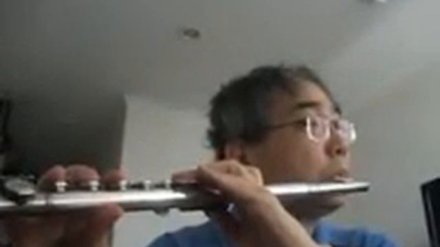 찬송가 Hymn - 330 장 - 고통의 멍에 벗으려고 - Pearl Nickel Flute смотреть онлайн