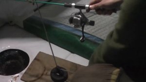 Увильды Рипус. Как год начнёшь.