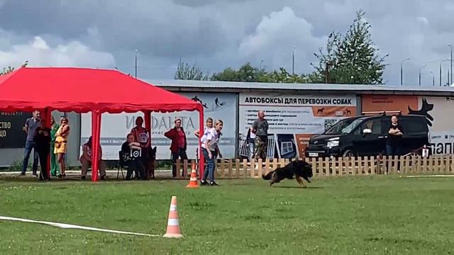 ПП суки дш 311-323 от Бажуковой