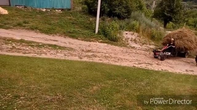Тeст—драйв. Мотоблок Мотор Сич (9 лошадок) и пeрeвозка сeна смотреть онлайн