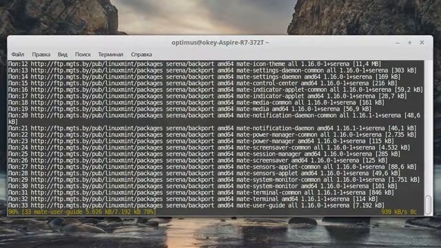 Как добавить окружение MATE в Linux Mint рядом с Cinnamon смотреть онлайн