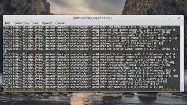 Как добавить окружение MATE в Linux Mint рядом с Cinnamon