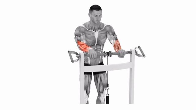 5 Best Exercises For Forearms | Home Workout смотреть онлайн