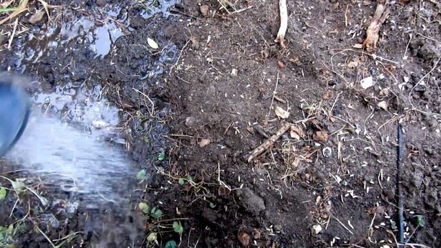 Подготавливаем грядки к зиме не перекапывая смотреть онлайн