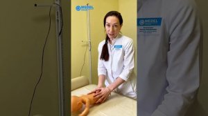 Гимнастика для детей. Комплекс упражнений от 3-х до 4-х месяцев.