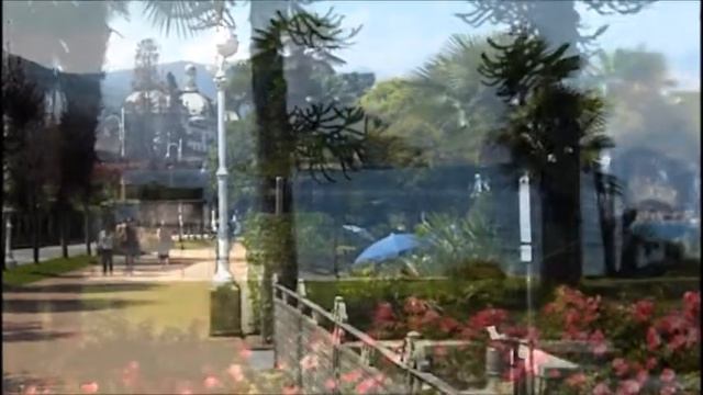 Maurizio Pollini Schumann смотреть онлайн