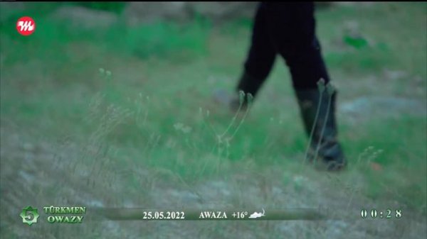 Maksat Hojaberdiyew - Omur | 2022