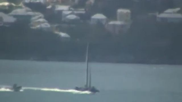 Team Artemis First Day Out Part 1 смотреть онлайн