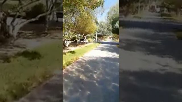 Public Agent Visit Dubai Park | Public Pickups