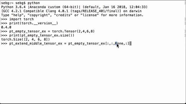 Add A New Dimension To The Middle Of A Tensor In PyTorch смотреть онлайн