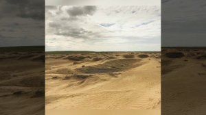 Красивая ногайская песня 😍 ногаец