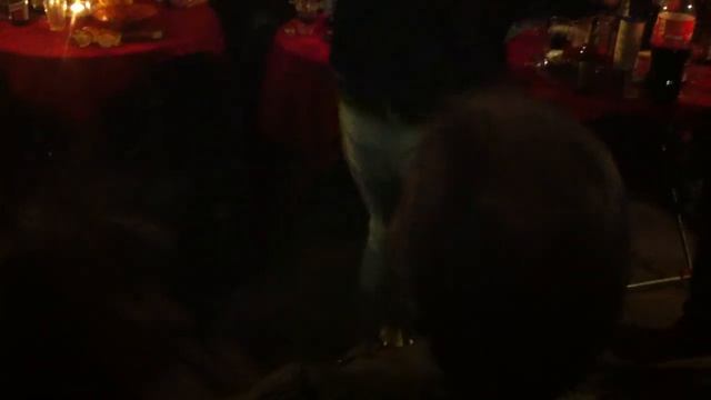 EL GRILO Y JOSE VALENCIA EN JUERGA EN FLAMENCO EN FRANCE смотреть онлайн