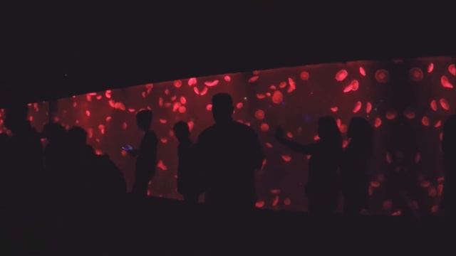Ocean Park Что посмотреть в Маниле | Филиппины смотреть онлайн