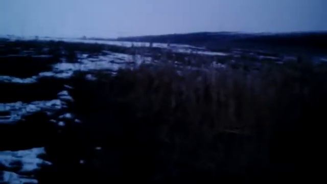 Русская борзая смотреть онлайн