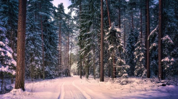 Нива Тревел. Поездка на родник. (YT 21.12.2023)
