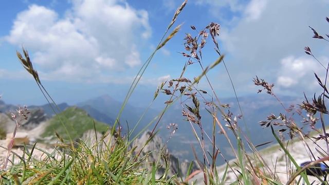 Отец и Сын и Дух Святой | Христианские песни на Троицу смотреть онлайн