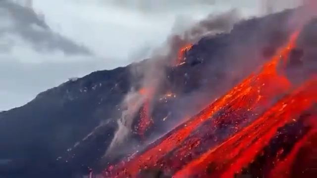 ЛА ПАЛЬМА ЭТО ПОЛИГОН ВЛАДЫКИ смотреть онлайн