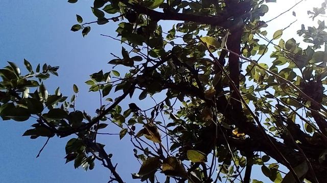 20240904_115400.mp4 смотреть онлайн