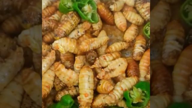 Silkworm // Simple Recipe// Naga Home 👩🍳