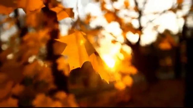 ПОСЛЕДНЯЯ РАДУГА смотреть онлайн